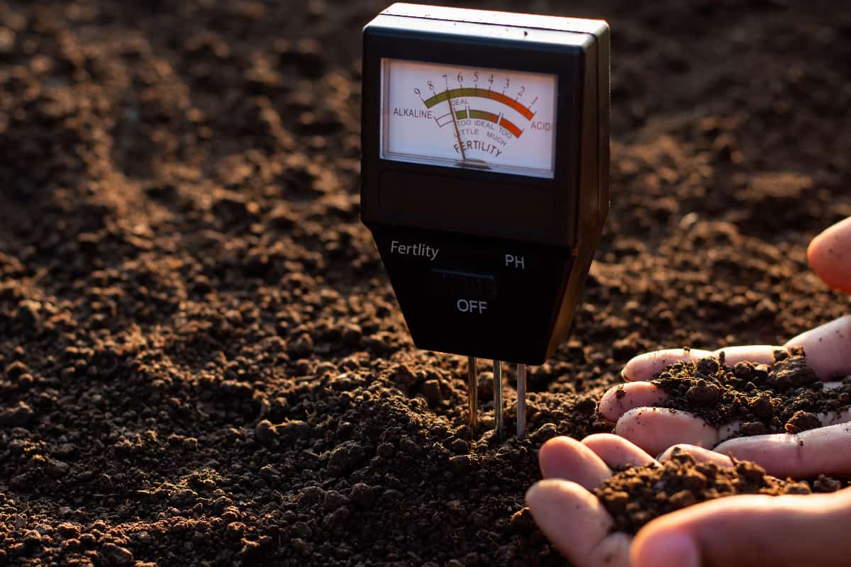 A soil meter and a farmer's hands are picking up soil for planting