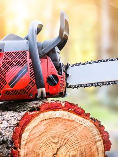 Chainsaw on wooden stump or firewood. Cut tree machine wide banner - Why Is My Chainsaw Blowing Smoke [Inc. Blue, White & Black]