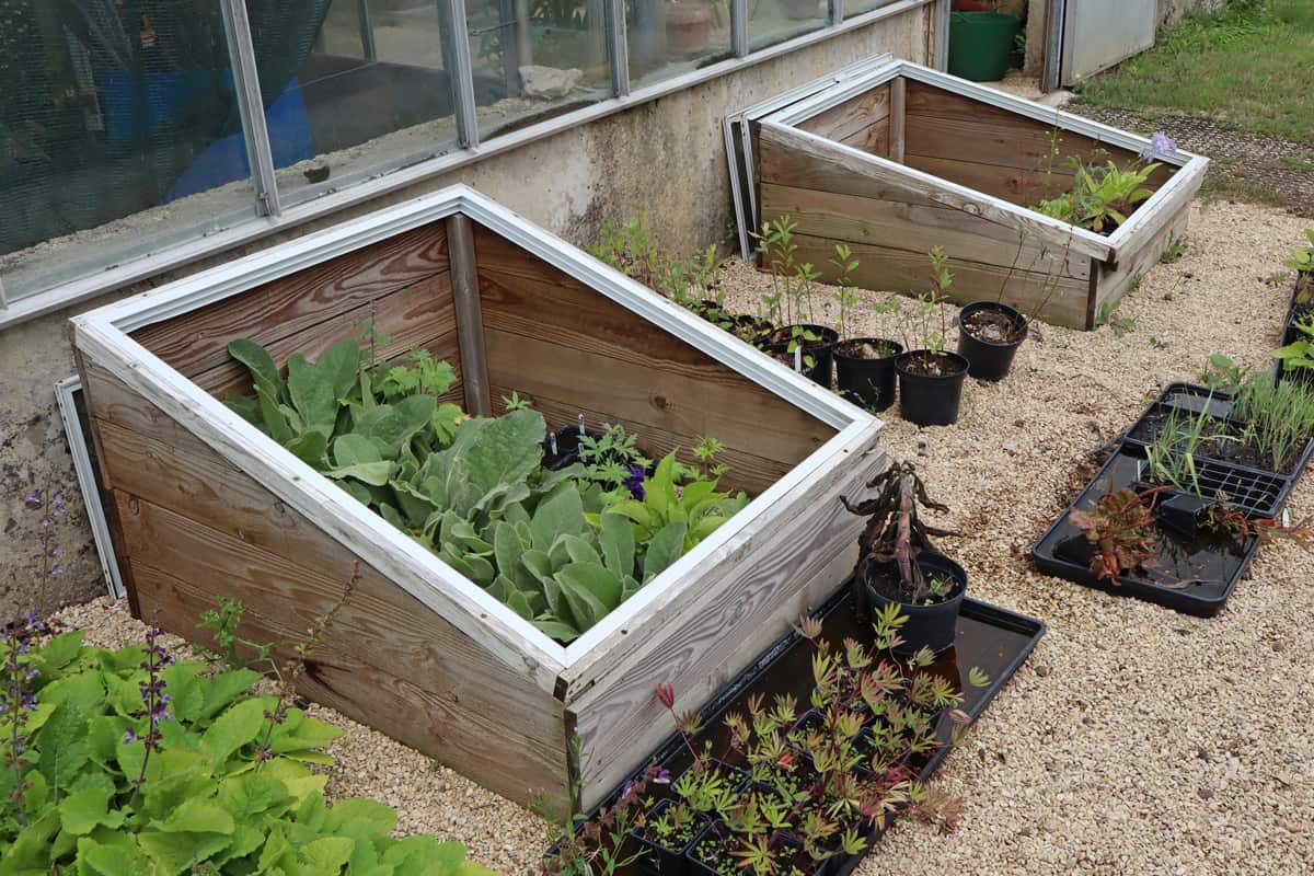 Cold boxes planted with different kinds of vegetables inside