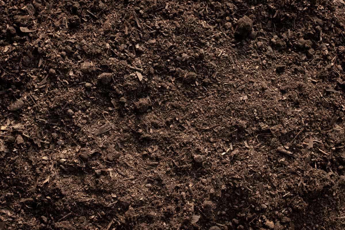 Fertile loam soil suitable for planting