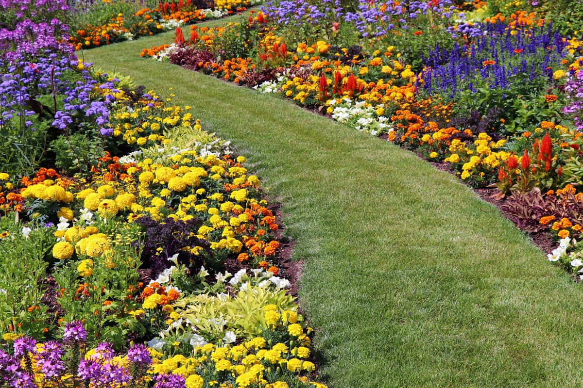 Flower garden with garden path