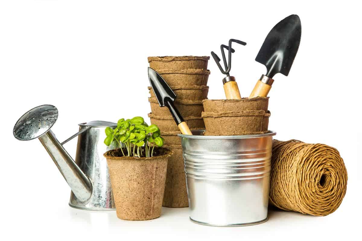 Garden tools with seedlings vegetable
