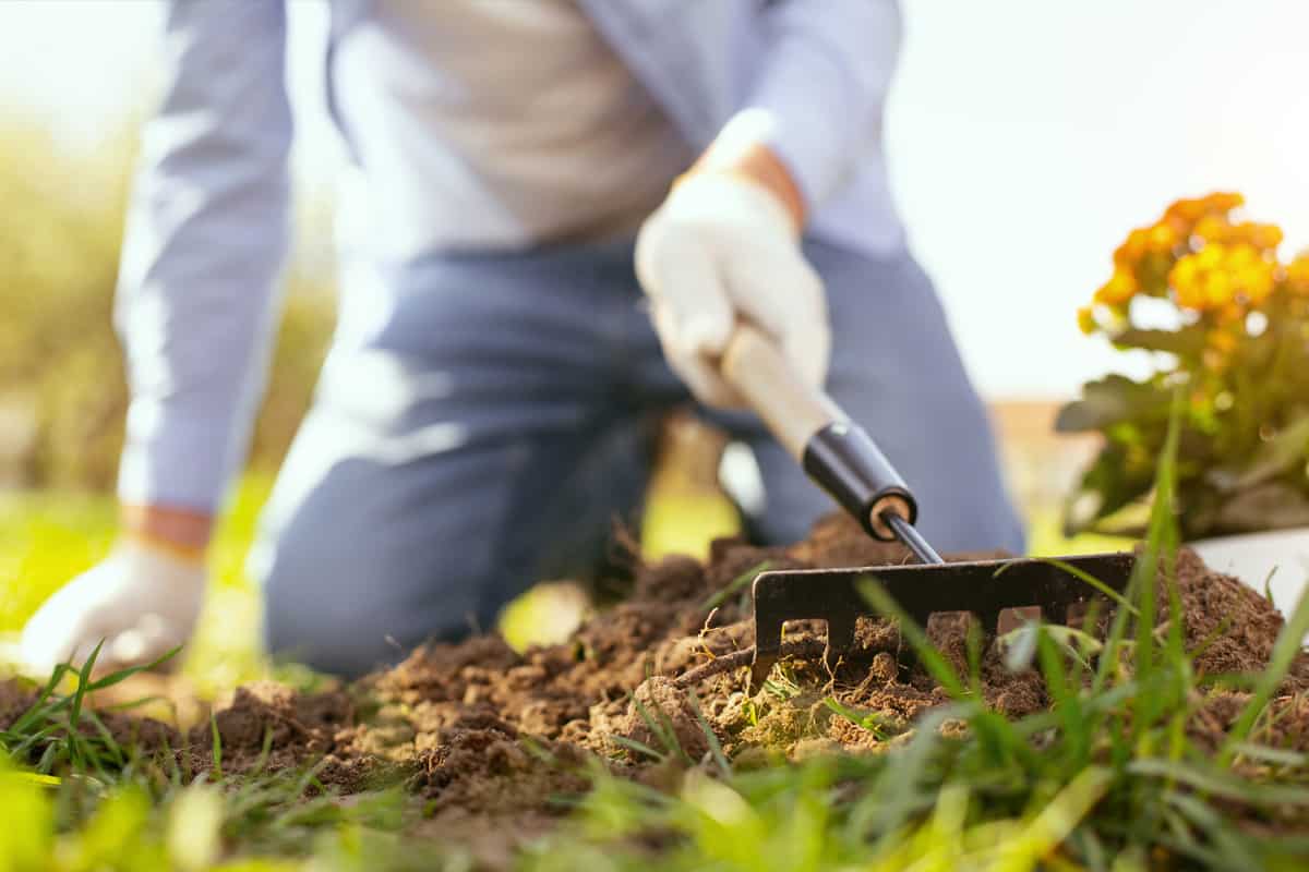 Gardening tool being used while planting