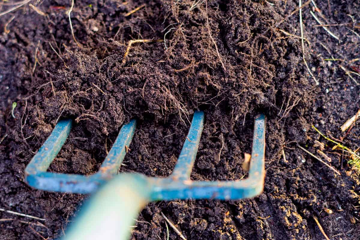 Healthy soil full of living roots, incorporating compost into the soil