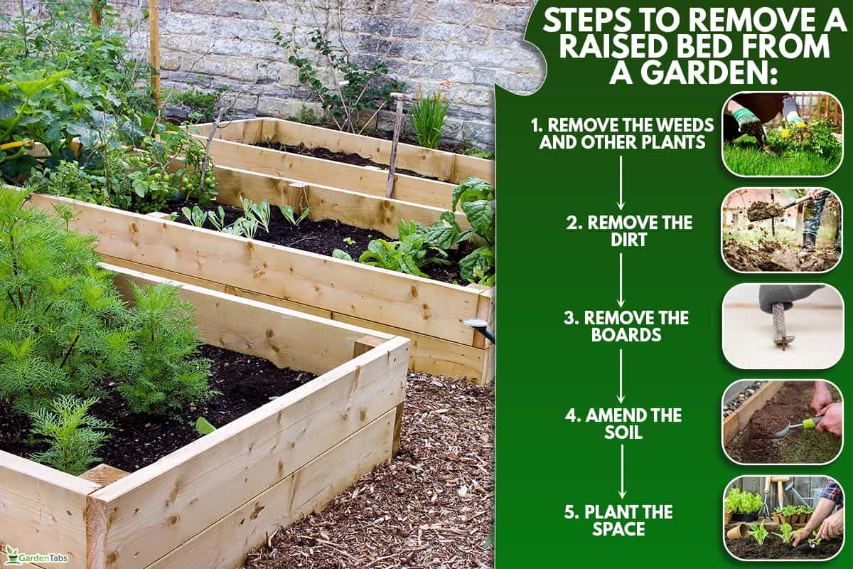 A rustic vegetable and flower garden with raised beds. How To Remove Raised Beds From A Garden [Step-By-Step Guide]