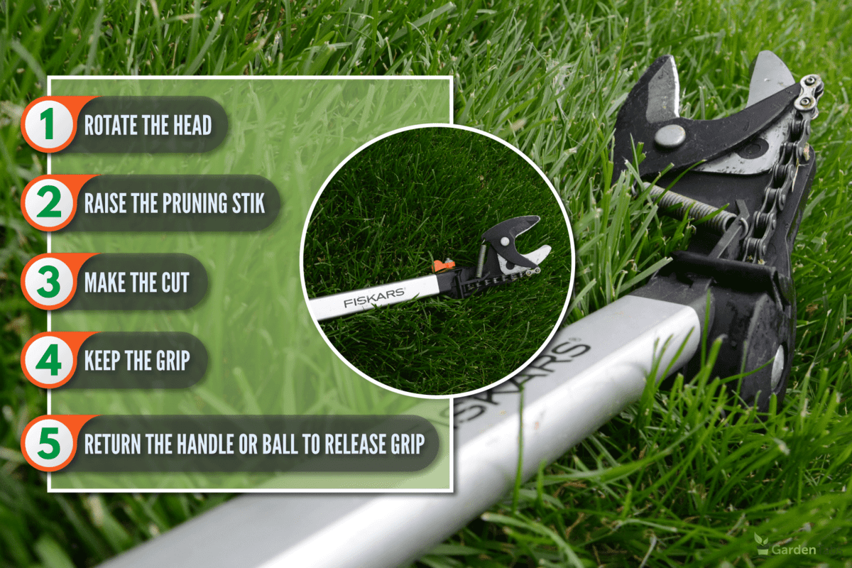 Fiskars tree pruner on the grassy lawn of the backyard, How To Use A Fiskars Tree Pruner [Step By Step Guide]