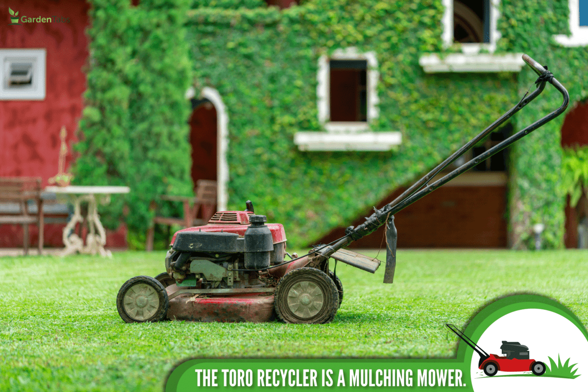 lawn mower on grass toto recycler and mulching mower, Is A Toro Recycler A Mulching Mower?