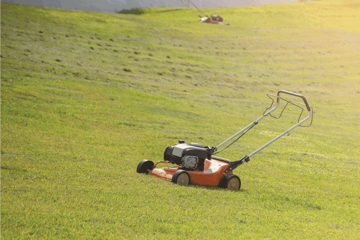 Lawn mower background green grass during beautiful evening.