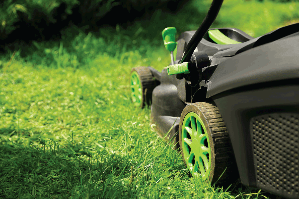Lawn mower on green grass in garden