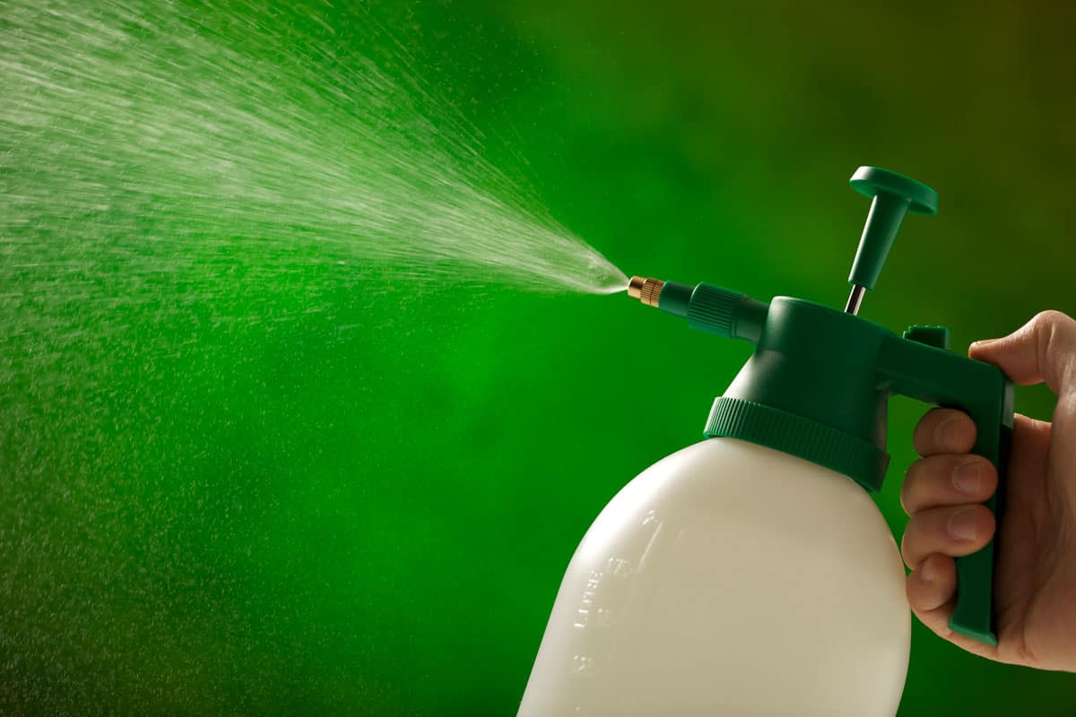 Man Spraying With a Garden Bottle close up green background