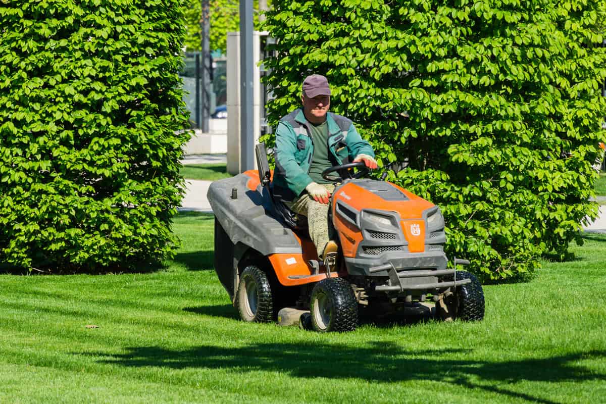 Man in green overalls works on orange lawn mower car Husqvarna TC 342T in public landscape city park Krasnodar o