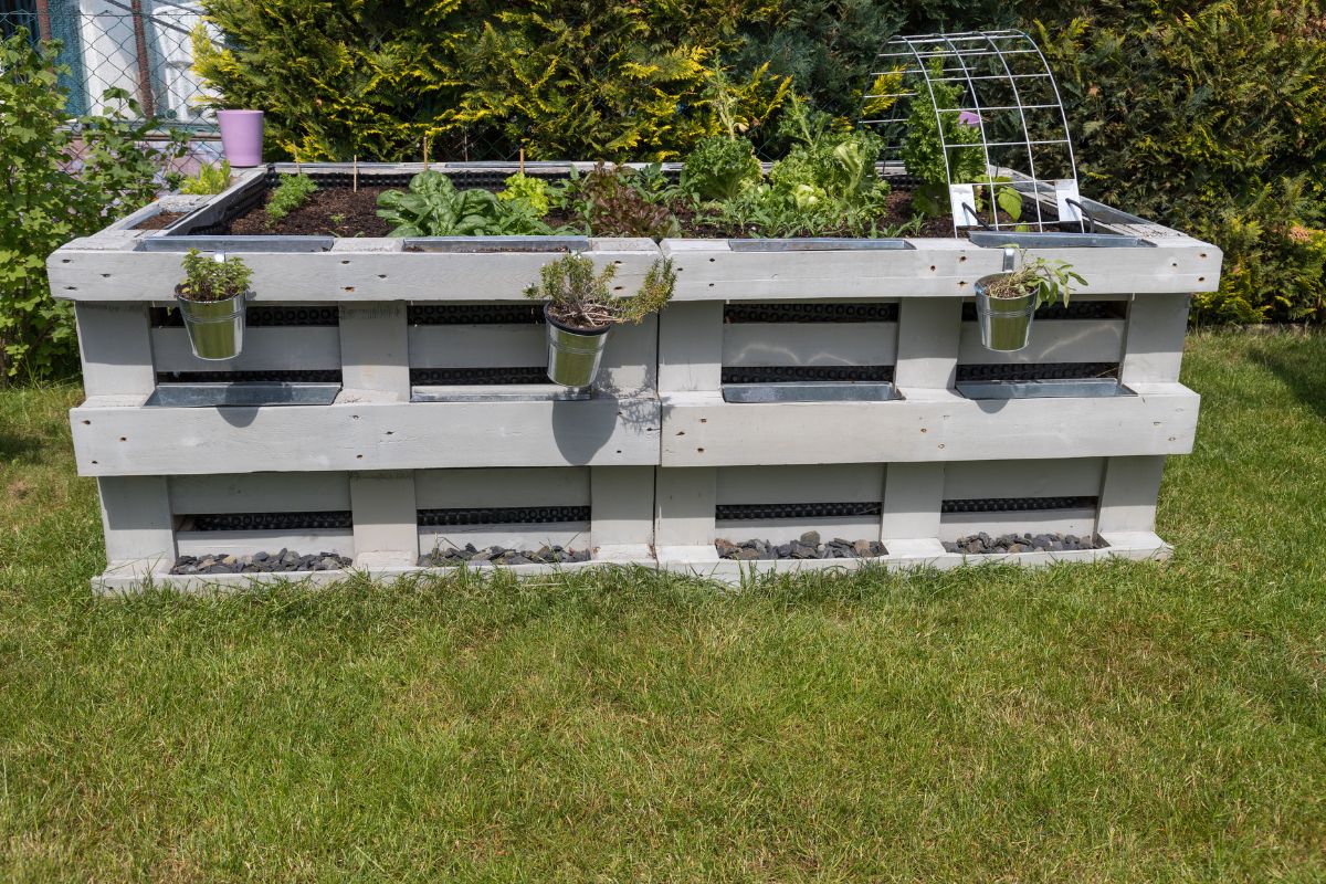 Planted raised bed made with old europallets