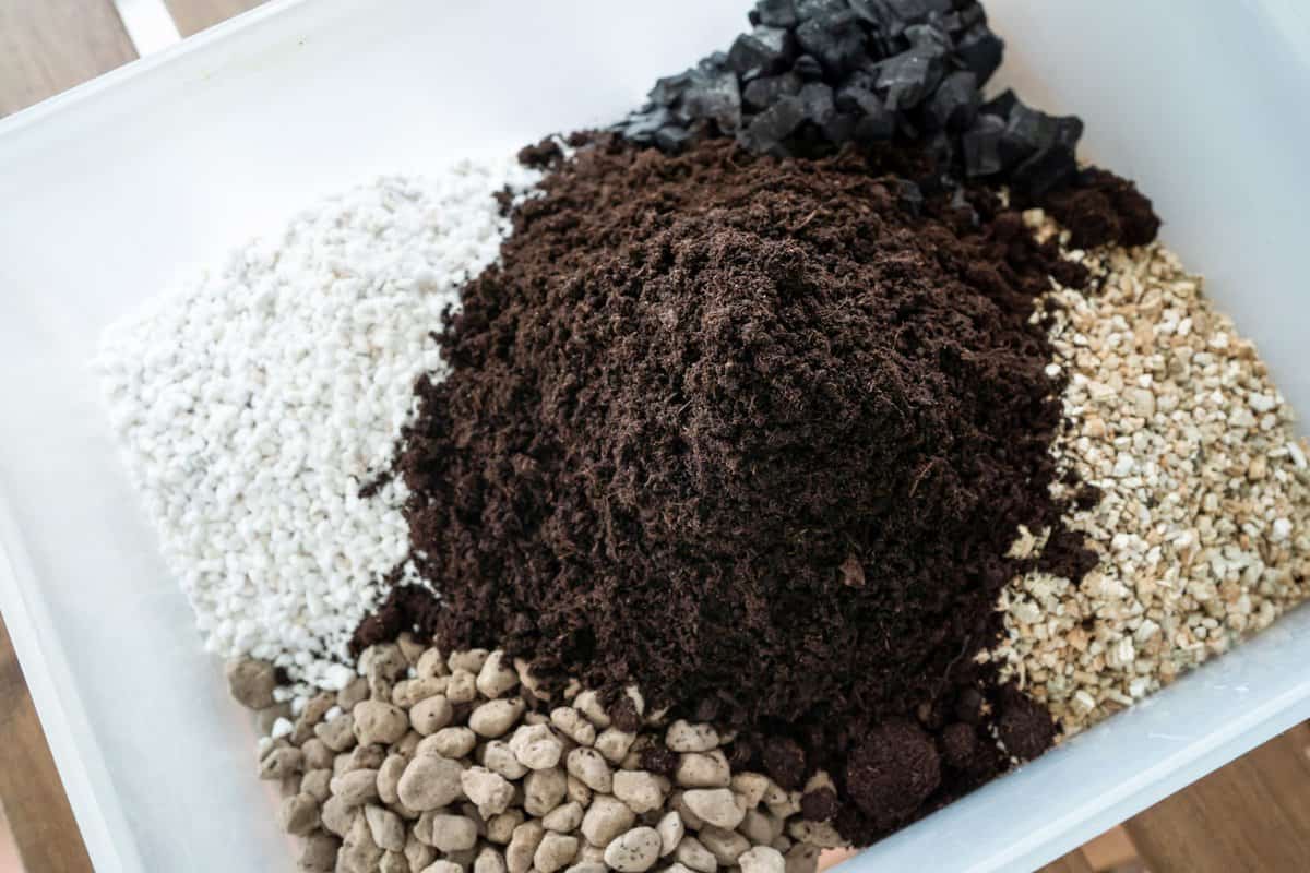 Potting soil mix media for plant that need good drainage medium. Peatmoss, Pumice, Perlite, Vermiculite and Charcoal.