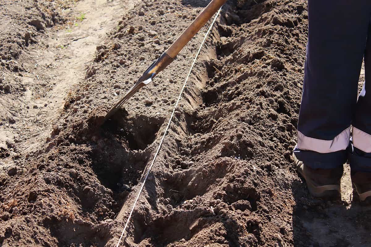 Preparing the soil in the garden bed