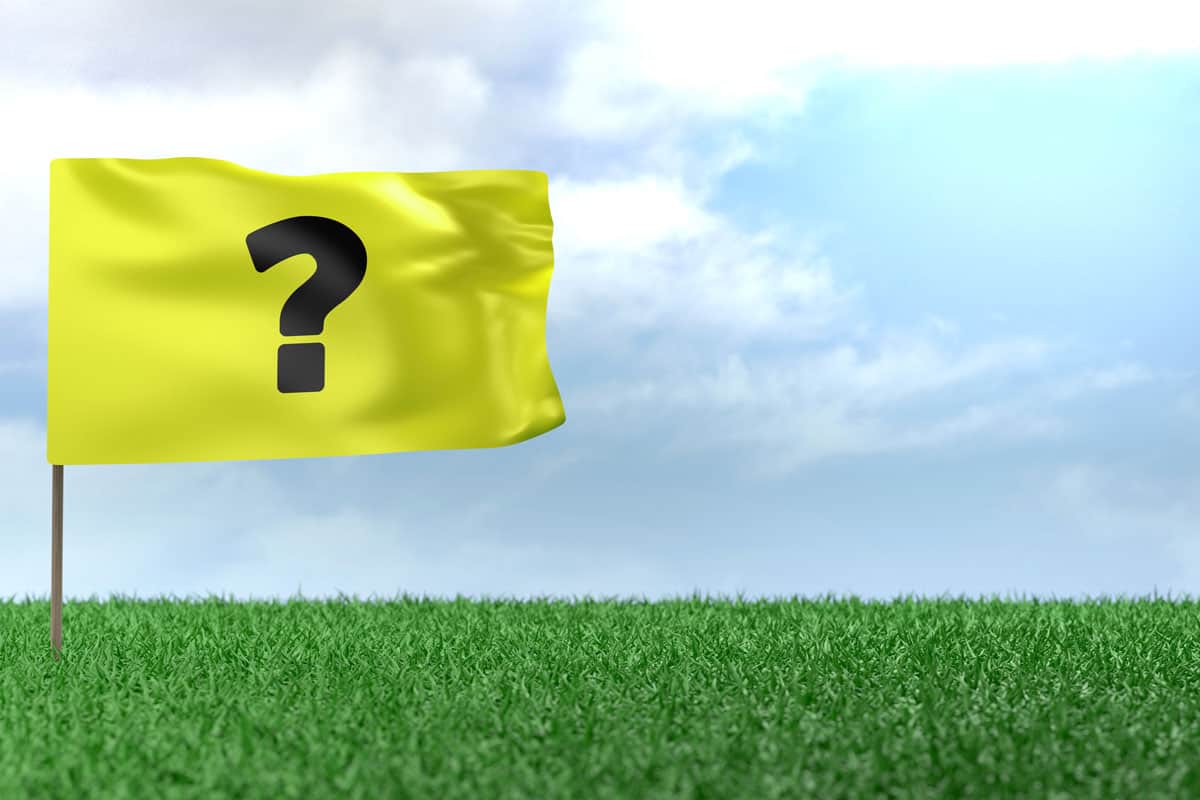 Question Mark sign on flag on green grass.