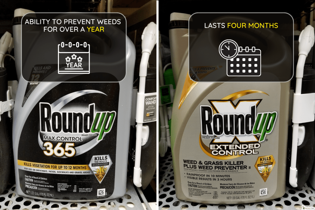 RoundUp Max Control 365 weed killer, Roundup 365 Vs Extended Control What's The Difference