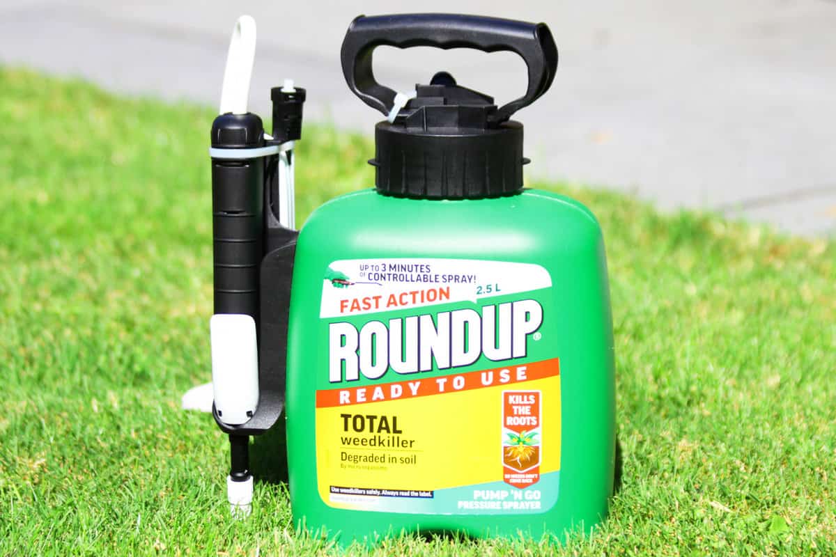 RoundUp in garden. RoundUp is a brand of herbicide containing glyphosate by Monsanto Company