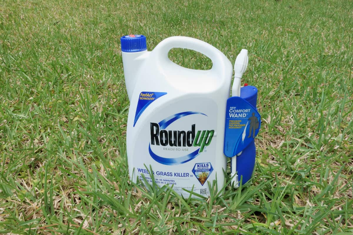 Roundup weed and grass killer on the grass lawn