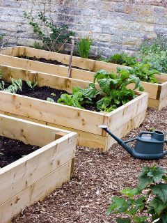 Rustic vegetable and flower garden with raised beds. How To Remove Raised Beds From A Garden [Step-By-Step Guide]