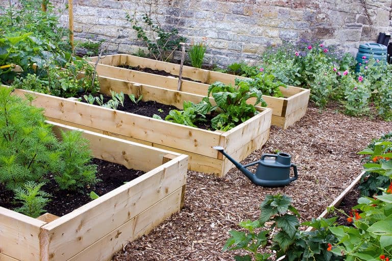 Rustic vegetable and flower garden with raised beds. How To Remove Raised Beds From A Garden [Step-By-Step Guide]