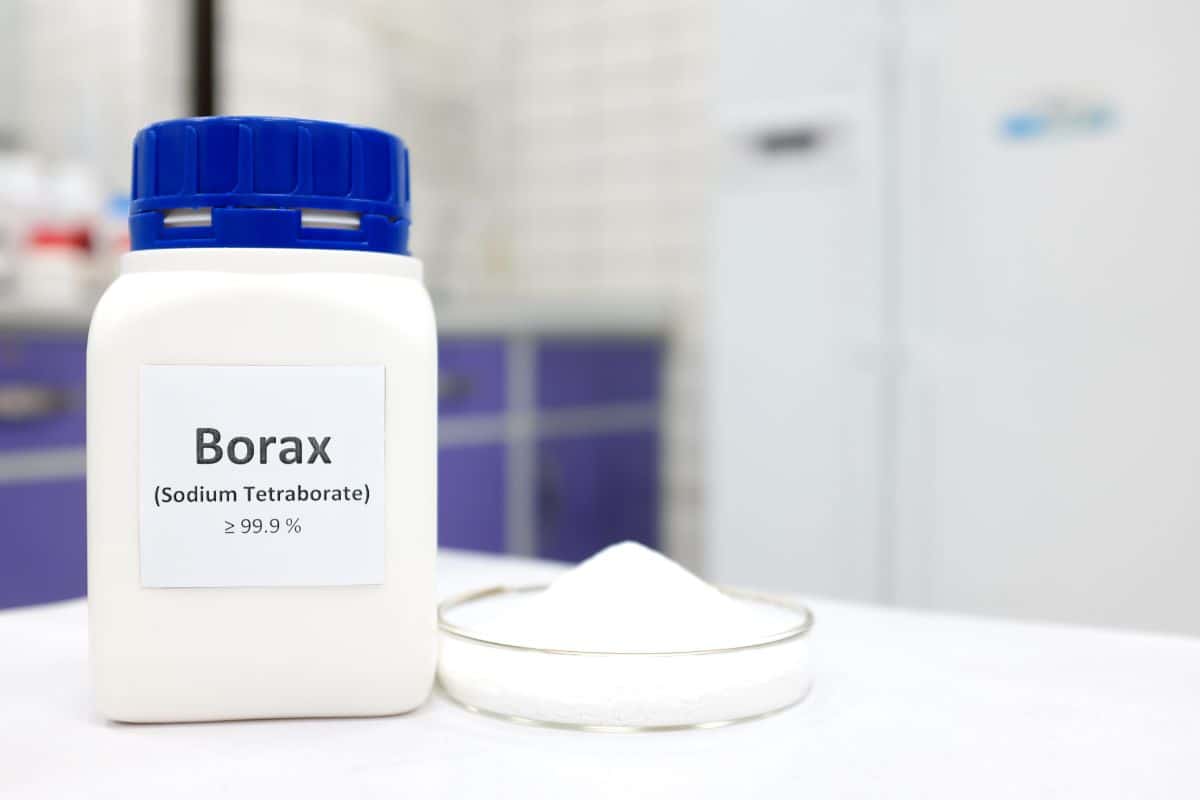 Selective focus of a bottle of borax chemical compound or sodium tetraborate beside a petri dish with solid powder substance. White Chemistry laboratory background with copy (1)