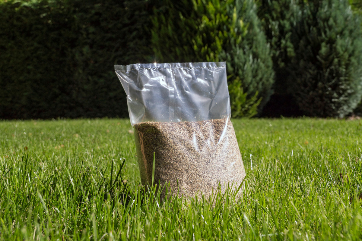 Sowing grass, setting up a lawn. Foil packaging with grass seeds.