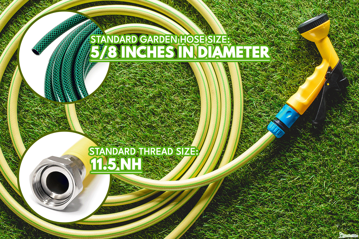 Top view of hosepipe on grass, What Is The Standard Garden Hose Size [Inc. Thread Size]?