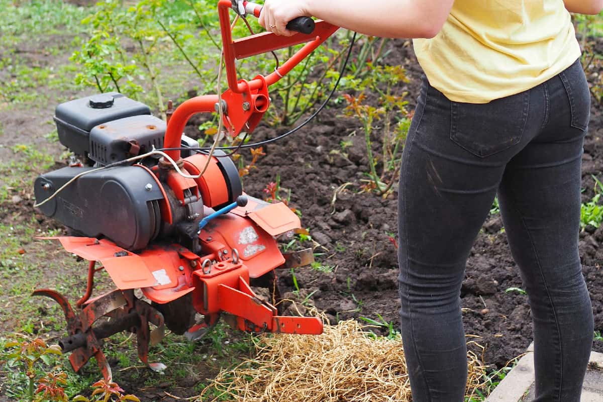 Young lady with rotating cultivating tiller tractor in the garden