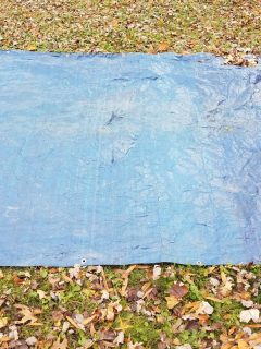 blue tarp on grass or lawn with brown leaves. - Will Blue Tarp Kill Weeds