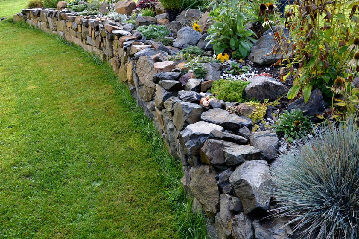 dry wall serves as a terrace terrace for the garden, where it holds a mass of soil. the wall is slightly curved