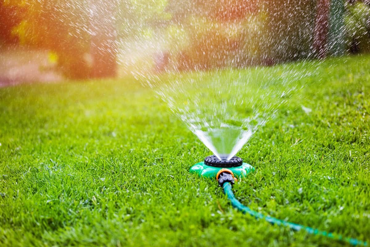 garden sprinkler watering grass at home backyard.