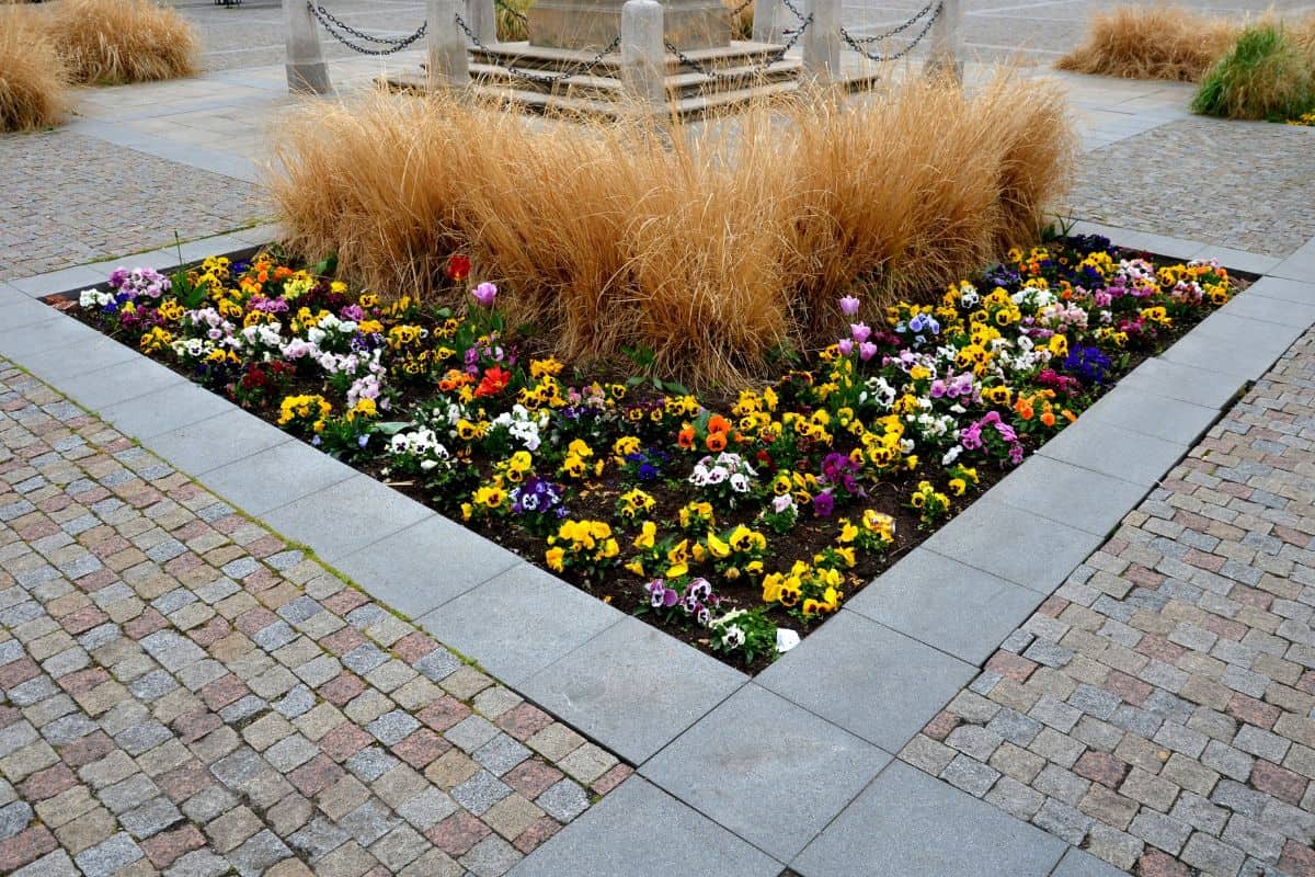 ornamental flower beds on a regular floor plan in the middle of a square made of granite paving. L shaped flower beds with dry ornamental grasses and lots of colorful flowers Easter decorations