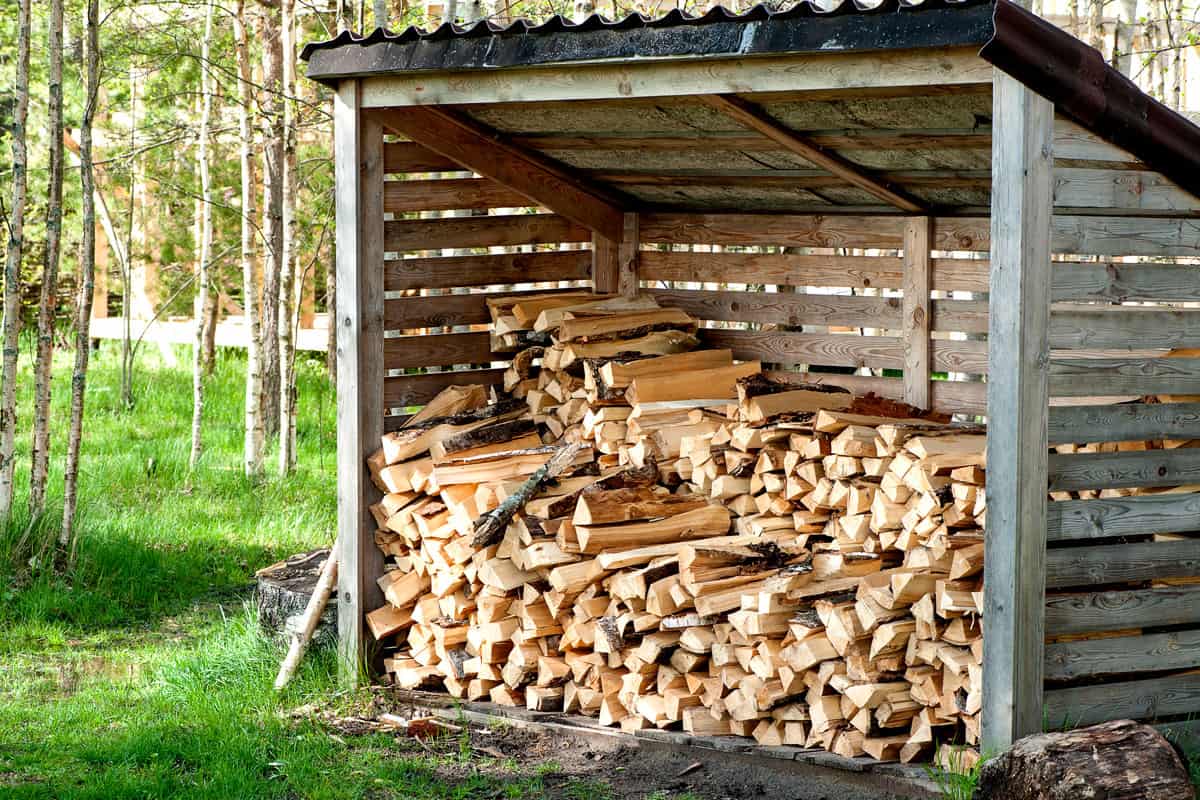 shed storing firewood dry seasoning maple firewood