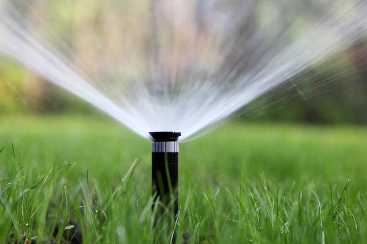 sprinkler of automatic watering 