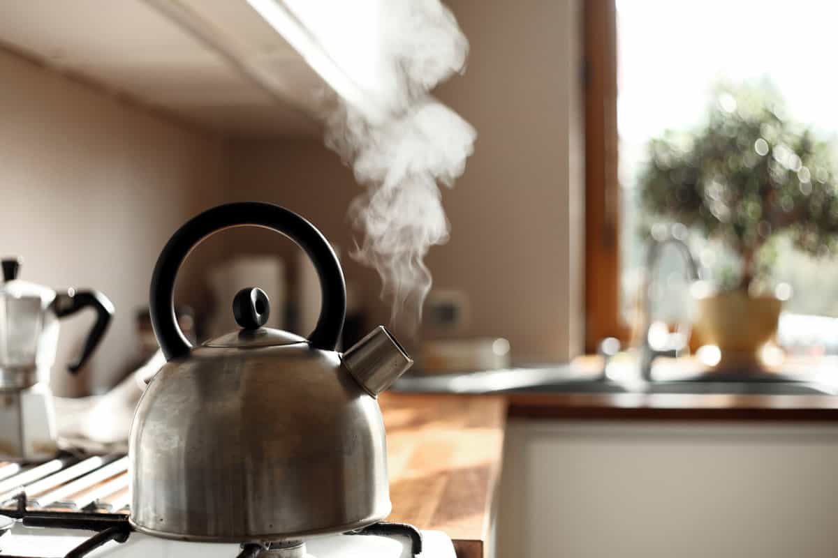 steam coming out of the kettle in the kitchen 