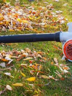 vacuum cleaner cleaning leaves on lawn, How To Attach A Bag To A Black & Decker Leaf Blower [Quickly & Easily]