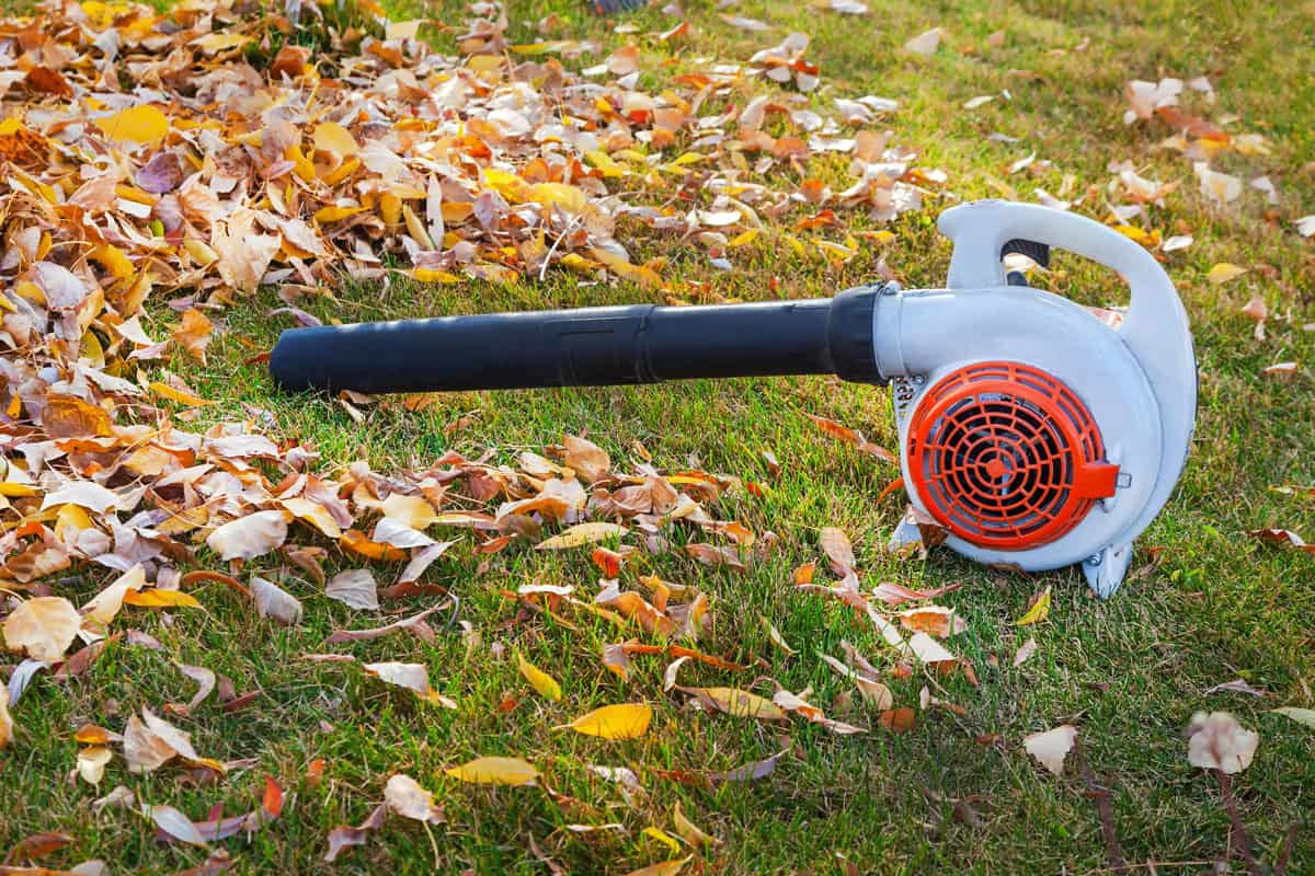 vacuum cleaner cleaning leaves on lawn