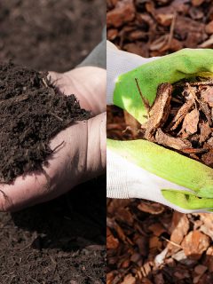 A comparison between black and brown mulch, Black Mulch Vs. Brown Mulch Pros & Cons: Which Is Better?