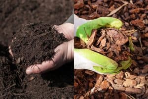 A comparison between black and brown mulch, Black Mulch Vs. Brown Mulch Pros & Cons: Which Is Better?