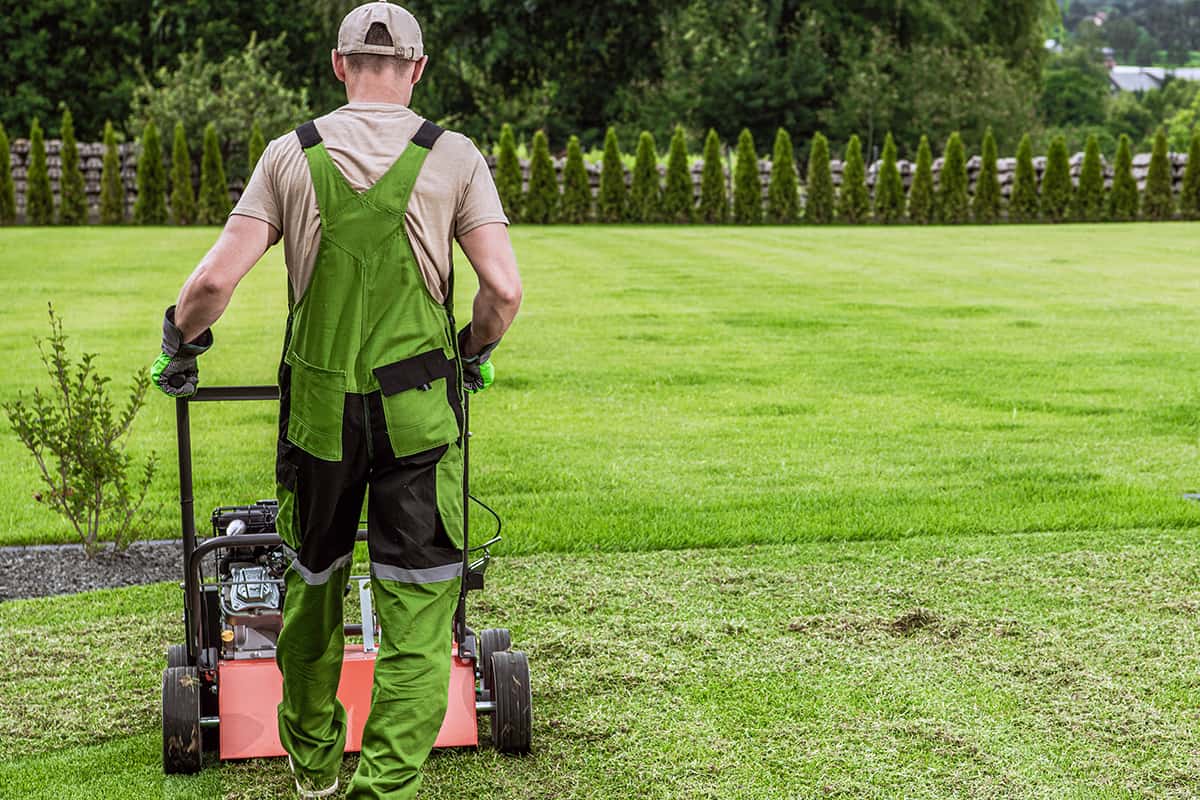 A man uses a gasoline lawn aerator on the lawn