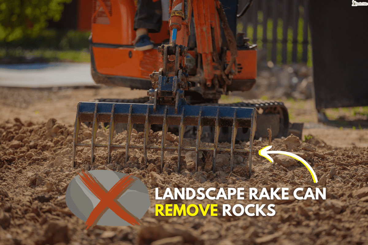 A mini excavator with a rake loosens the ground. landscape preparation, Will A Landscape Rake Remove Rocks