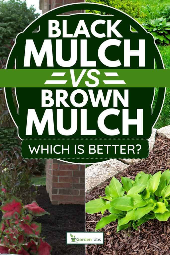 Black and brown much on the garden, Black Mulch Vs. Brown Mulch Pros & Cons: Which Is Better?