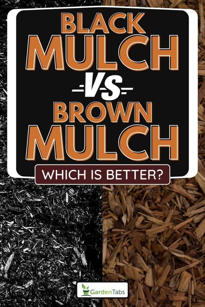 Black and brown much on the ground, Black Mulch Vs. Brown Mulch Pros & Cons: Which Is Better?