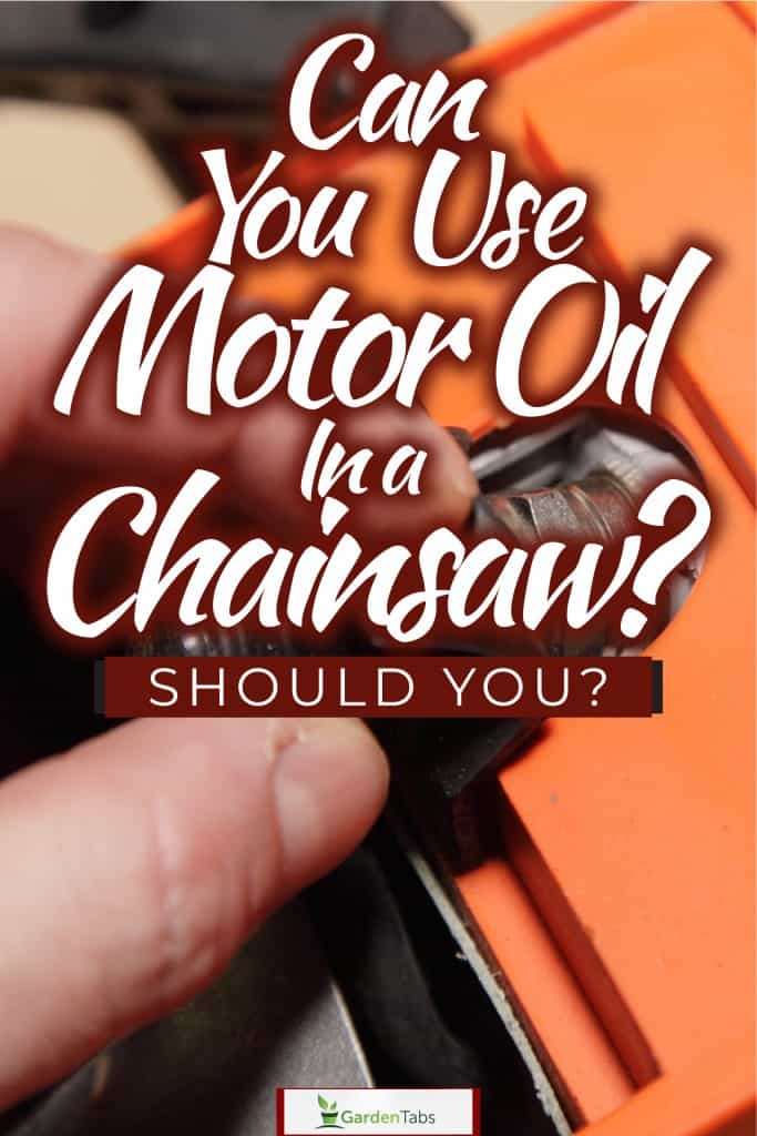 Pouring motor oil to the chainsaw, Can You Use Motor Oil In A Chainsaw? Should You?/></div><h2 class=
