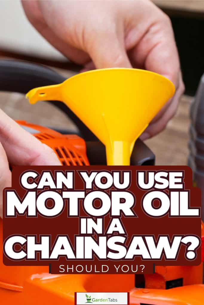 Pouring motor oil to the chainsaw, Can You Use Motor Oil In A Chainsaw? Should You?