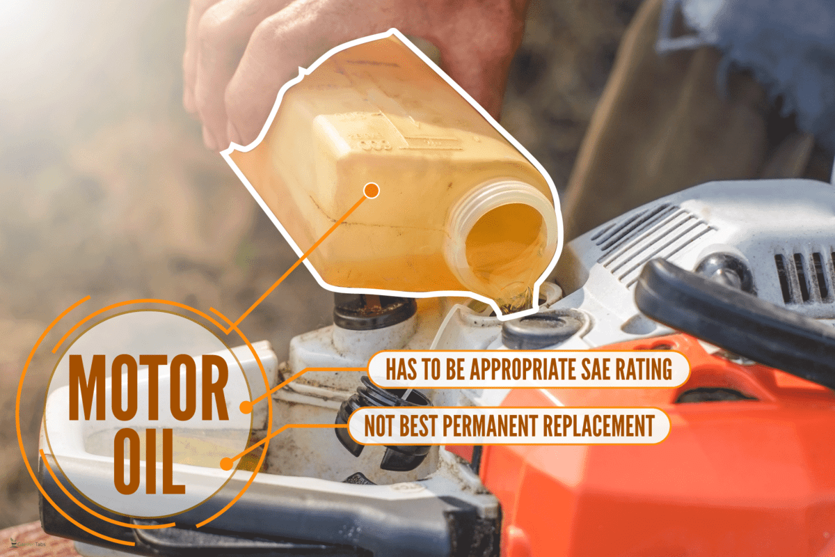 Pouring motor oil to the chainsaw, Can You Use Motor Oil In A Chainsaw? Should You?