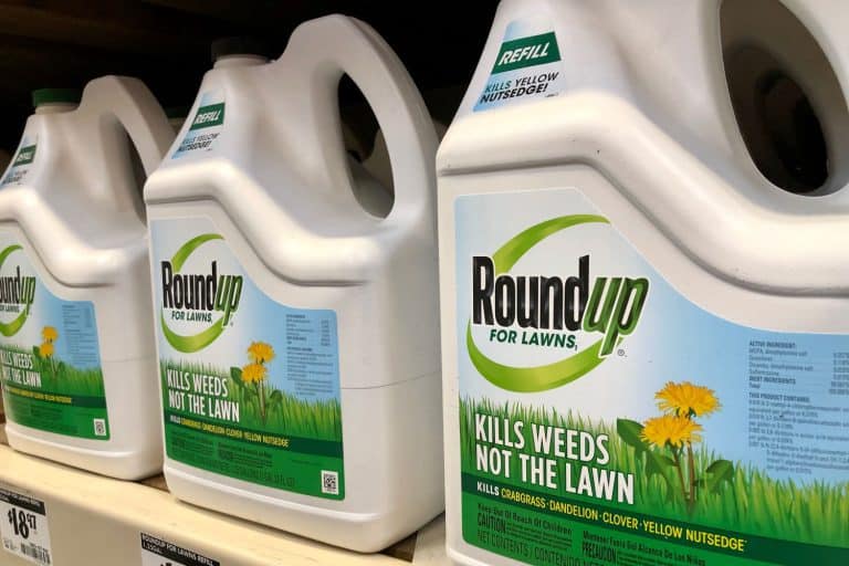 Closeup of RoundUp Weed Killer spray chemical containers on the store shelf. Manufactured by Monsanto Corporation, How Much Roundup For 25 Gallons of Water