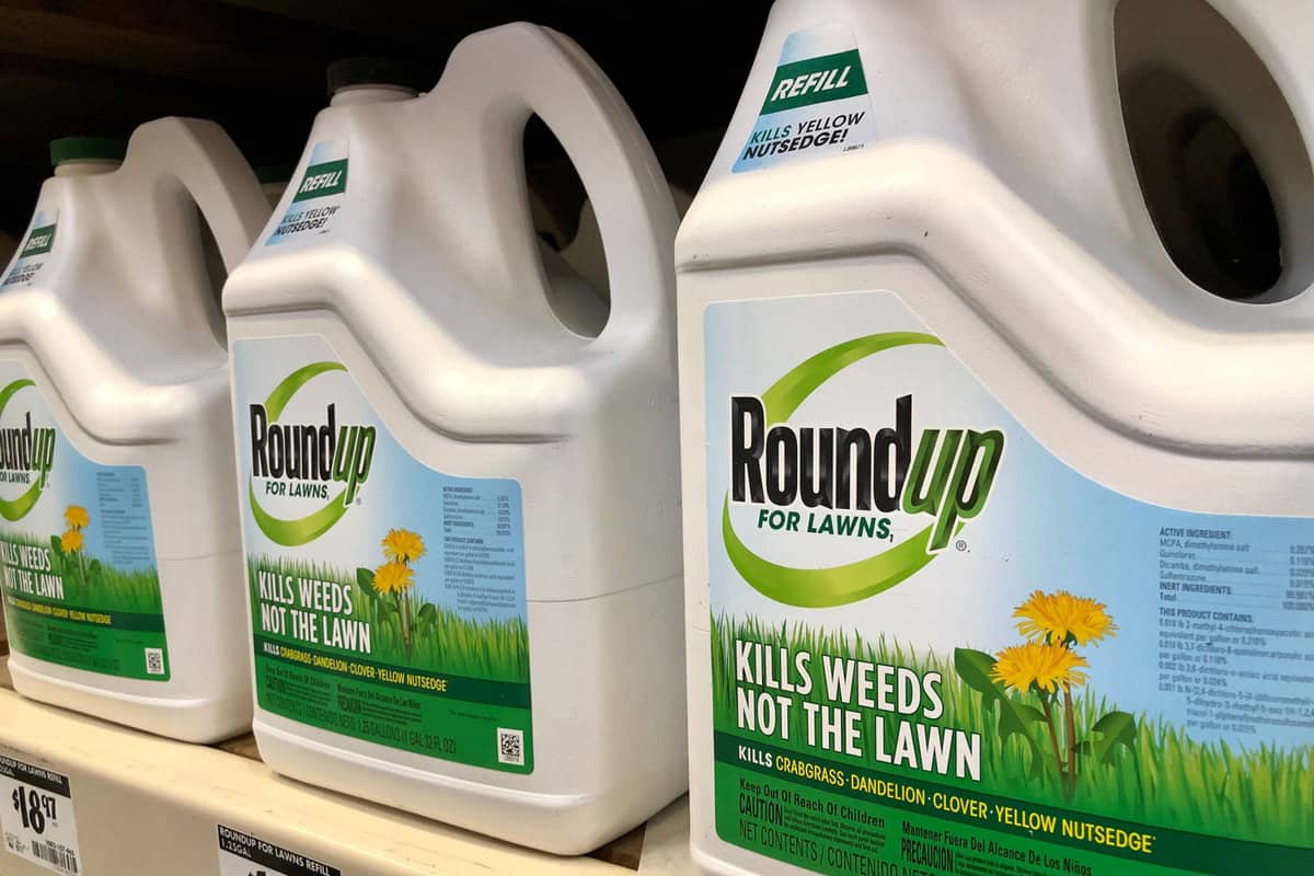 Closeup of RoundUp Weed Killer spray chemical containers on the store shelf. Manufactured by Monsanto Corporation.