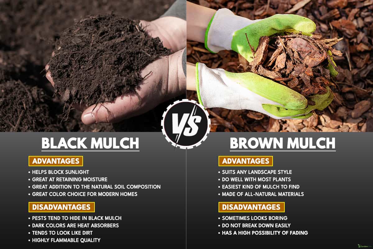 Comparison between black and brown mulch, Black Mulch Vs. Brown Mulch Pros & Cons: Which Is Better?