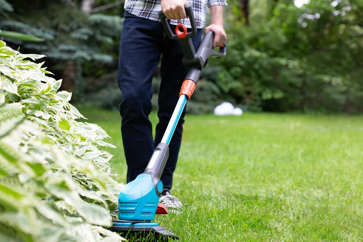 Cutting the lawn with cordless grass trimmer